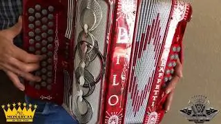Dino Baffetti Accordions