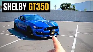 Here's Why the 2017 Ford Mustang Shelby GT350 IS A STREET KING!