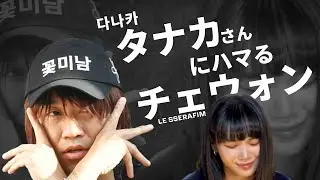 タナカさんにハマるチェウォン [LE SSERAFIM/르세라핌][채원/Chaewon]다나카