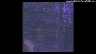 NED BUNDY - CADDY HEARSE