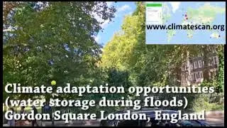 Climate adaptation opportunities water storage during floods Gordon Square London, England