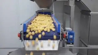 Complexity is not our enemy Customized Packaging System for Frozen Application 720p