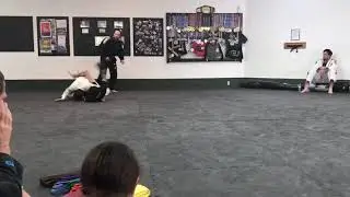 Palm Spring Belt Testing 2017