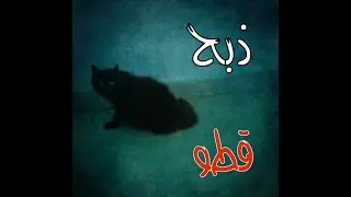 (ق465) قتل قطو أسود كان يظهر بكل مكان وفقد سنوات من عمره #قصص_واقعية #حقيقية #قصص #قصة #جن‪#‬رعب