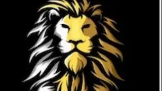 BNB LION FLYING! PROPHETIC MEME COINS! XRP! XLM! JOIN US FOR WORD & PRAYER!