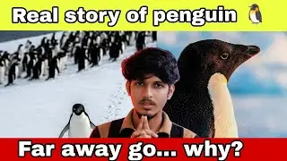 Viral penguin 🐧 explained in tamil | penguin depressed explained in tamil 