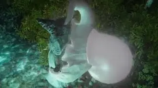 Elden Ring Ryona (Spirit-Caller Snail Grab Death, リョナ)