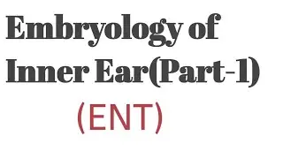 Embryology of Inner Ear(Part-1)||MBBS 3rd year ENT PG preparation