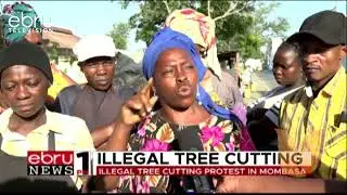 Illegal Tree Cutting Protest In Machakos