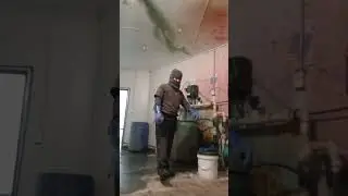 mixing time colostrum  Para drink sa cows