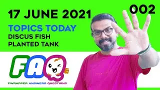 FAQ - Fish Keeping Question Answer || Discus Fish || Planted Tank