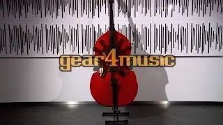 Cello / Double Bass Stand