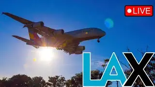 Live| LAX Airport Arrivals & Departures|RWY 24R|24L|Los Angeles International Airport