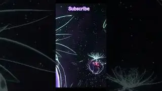 #beatsaber #virtualcommunity #vr #sky #virtualreality #roblox #vrchat #vrchatmoments #exploration