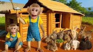 Smart father Bim Bim and baby monkey Obi take care of baby rabbits in a very lovely way