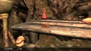 SKYRIM   Discovering the secret of Lost Prospect Mine