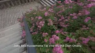 Päivä 0 Turku - Intro