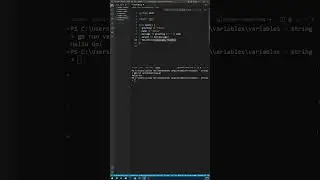 Go Language String Variable