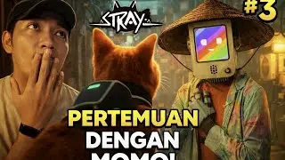 MISI BERBAHAYA MOMO (3) | #stray #gameplay #steam #indonesia