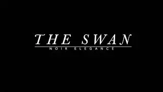 noir elegance//study music,focus, relax, chill out