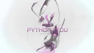 PYTHON4YOU 2.0