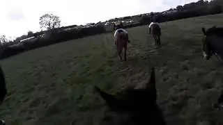 Grafton Hunt Novice Team Chase - 19.10.14 50sec fast Star Contractor Chasers