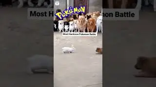 Most hardcore Pok&eacute;mon battle