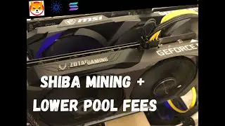 How to Mine SHIBA + Get Lower Pool Fees | Minerstat Guide