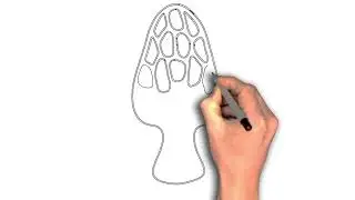 morel mushroom drawing image, Morel Symbol &ndash; Modular Single-Line Art