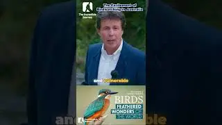 Unlock Nature's Hidden Treasures in Australia!