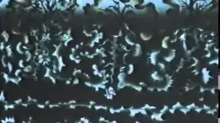 Штуша Кутуша Первобытная история 1975