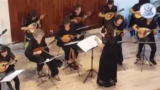 Butterfly Love - mandolin orchestra - Shumi Huang | 蝶戀 | 臺法曼陀鈴交流演奏會 | 黃舒彌