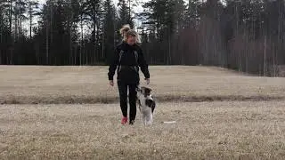 Fotg&aring;ende/fritt f&ouml;lj 15 meter. [mylifewitheasy]
