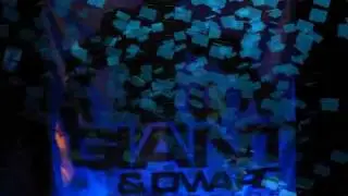 Crazy X-Ray meets Hassan H&ouml;kstr&ouml;m - Schramm - GAD011