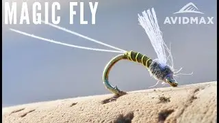 How to tie The Magic Fly | AvidMax Fly Tying Tuesday Tutorials