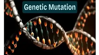 Mutation +Genetic Disorder Ch4 class 12 Biology