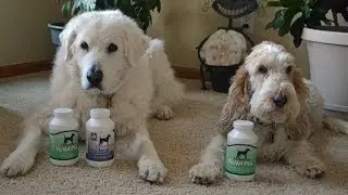 NuVet Joint Supplements