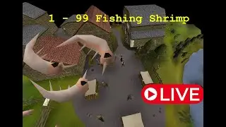 Old school runescape 1  to 99 fishing challenge shrimps only