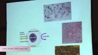 Vasilis Paspaliaris  Adistem/Global Stem Cells Group-  Cell Encapsulation