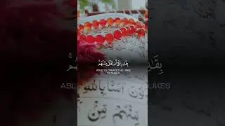 #viralvideo #quran #quranrecitation #pathofpeace