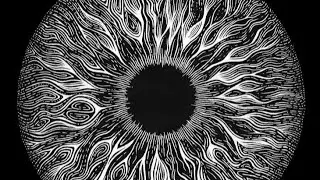 Observer Effect ~ (1X) 