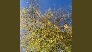 A Dream Of Heaven