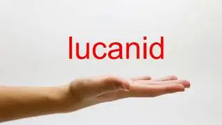 How to Pronounce lucanid - American English