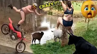 Crazy Funniest Videos Ever In The World LEVEL 42 | Hilarious videos | Try Not To Laugh Challenge