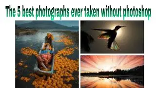 The 5 best photographs ever taken without photoshop