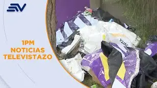 Quito: ADN pintó murales de Noboa sin obtener permiso, según Municipio | Televistazo | Ecuavisa