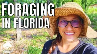 Foraging FAILS | How to avoid a failed FORAGING TRIP | Home Apothecary