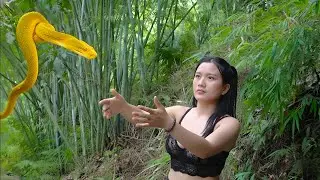 Alone in the Bamboo Forest: Building a Hut, Making a Clay Stove & Facing a Giant Python Underwater!