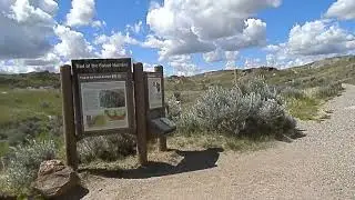 Dinosaur Excavation & Trail of the Fossil Hunters