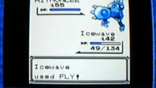 BlazingBlastoise's Pokemon Blue Walkthrough Part 75: Elite Four Bruno!